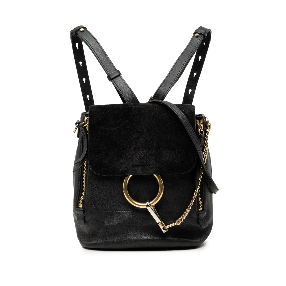 Pre-Loved Chloé Medium Calfskin and Suede Faye Backpack